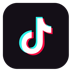 TikTok Icon